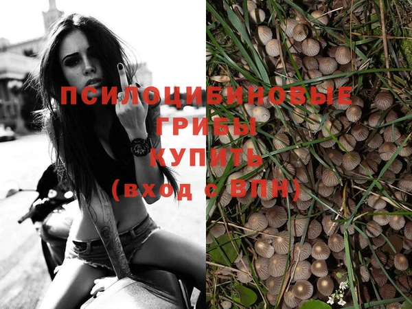 бошки Горнозаводск