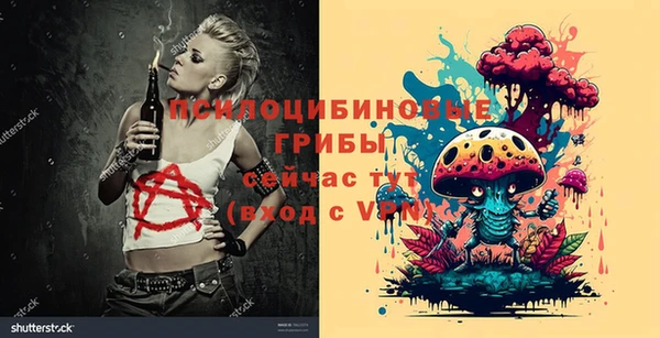 бошки Горнозаводск