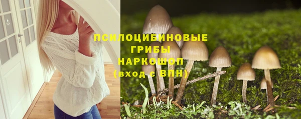 бошки Горнозаводск