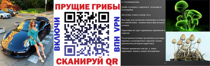 Купить где  Протвино  Галлюциногенные грибы Cubensis 